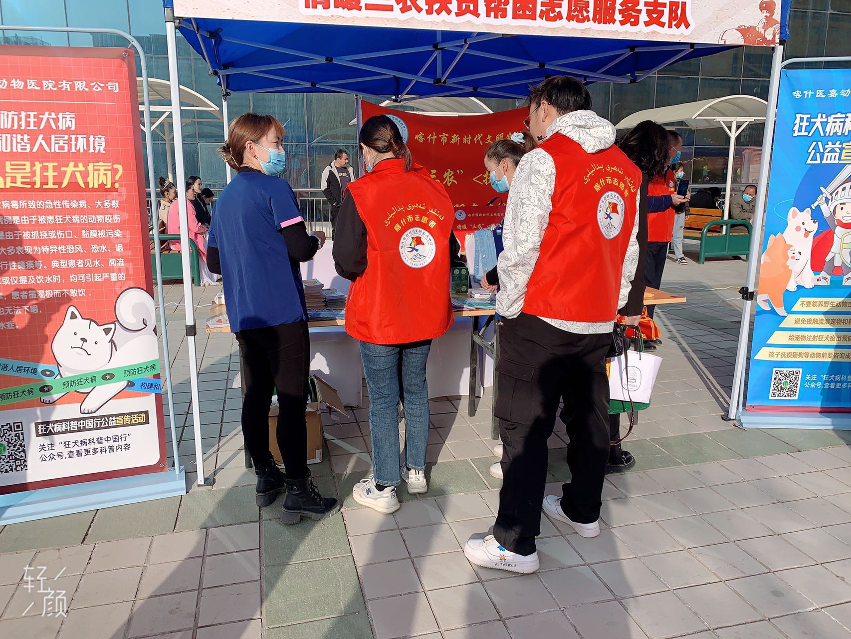 活动展示