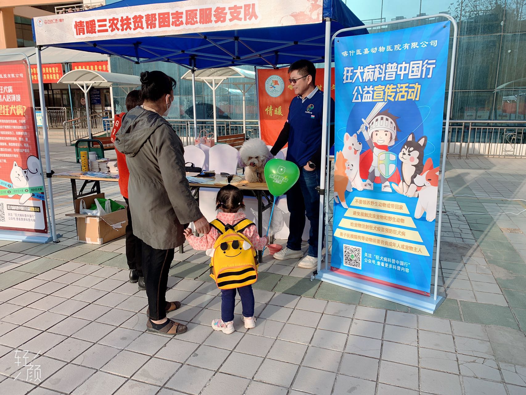 活动展示