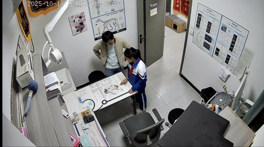 幼猫肠炎低血糖休克