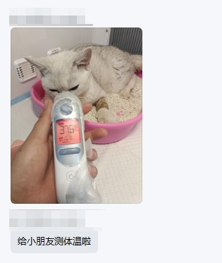 急性肾衰+站立不稳