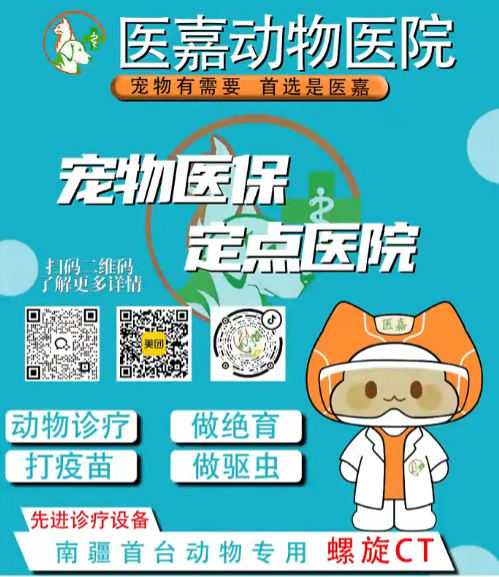 养宠之路， 医嘉守护!