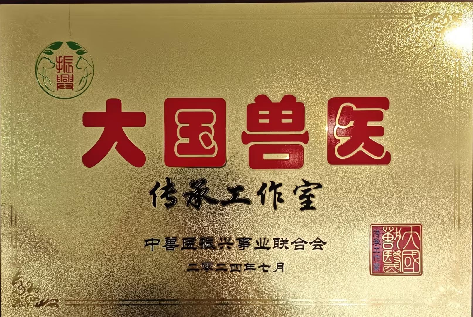 大过兽医