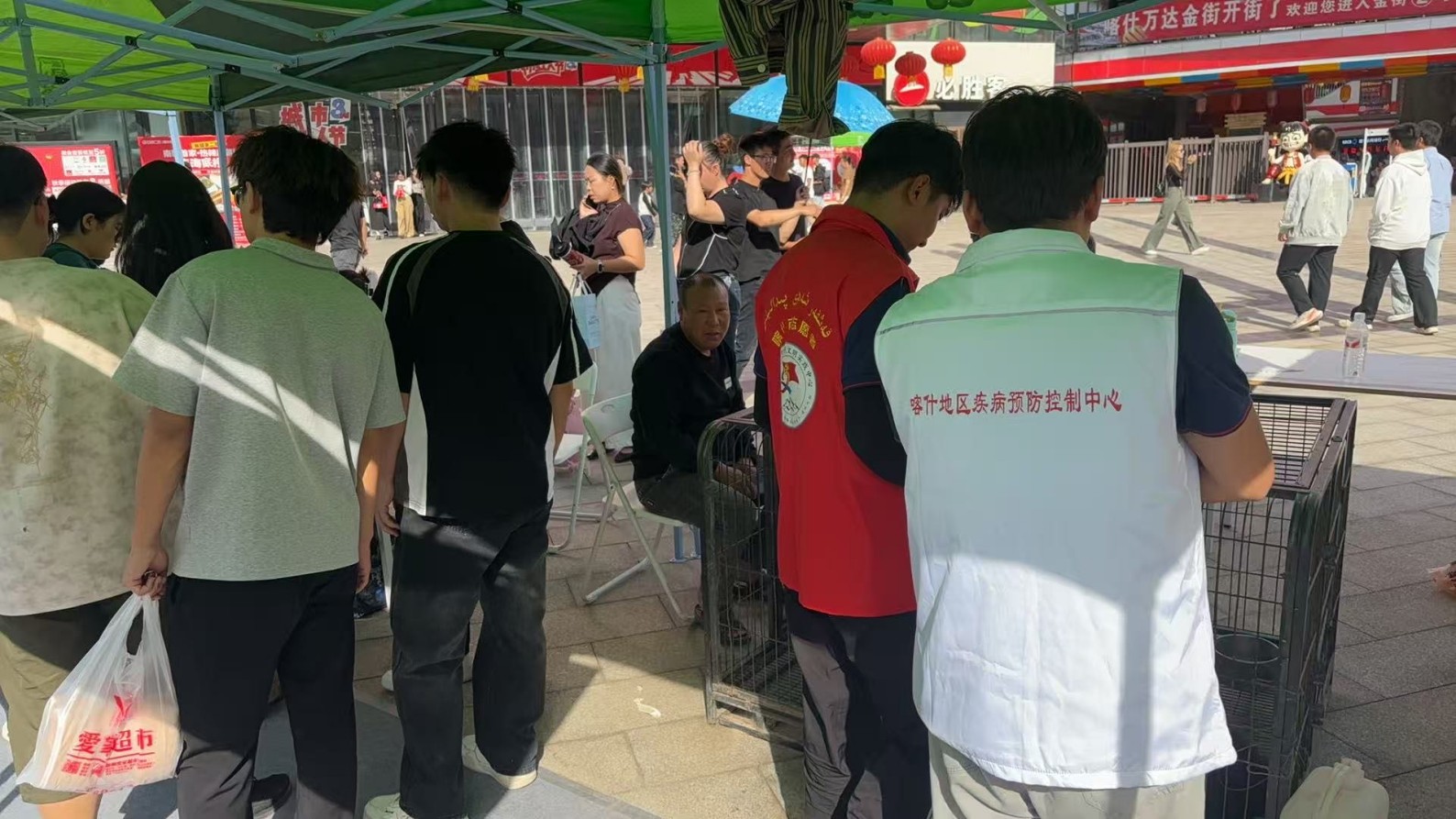 活动展示