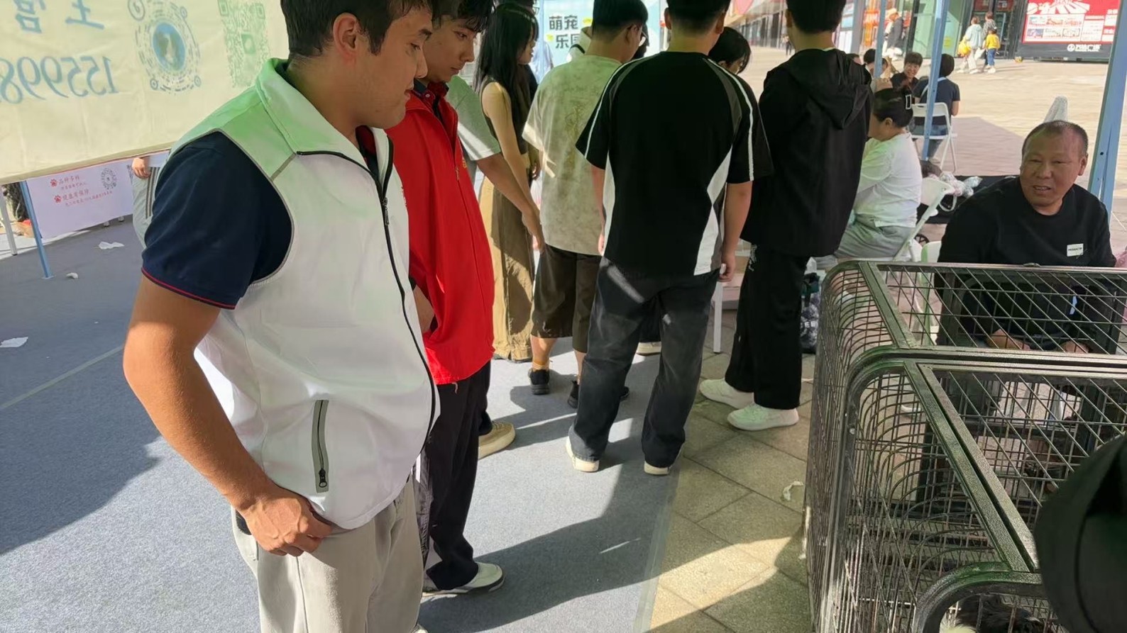 活动展示