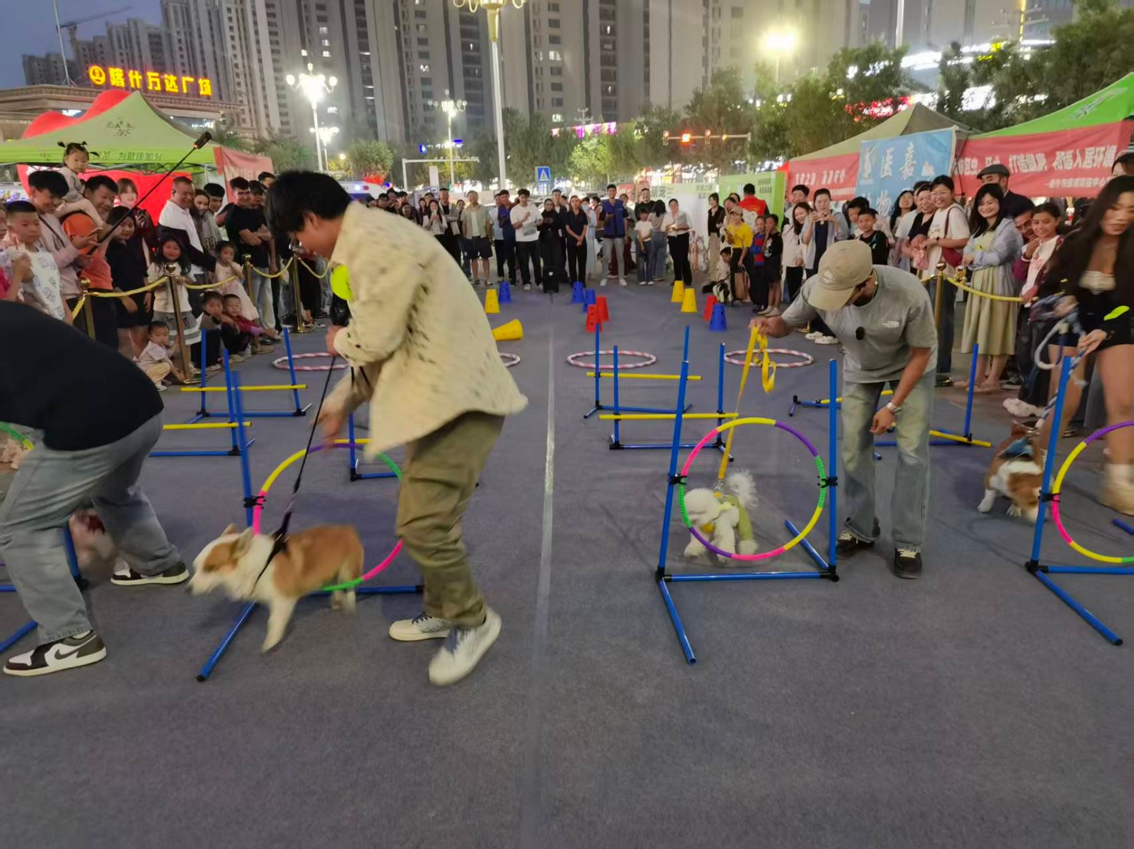 活动展示