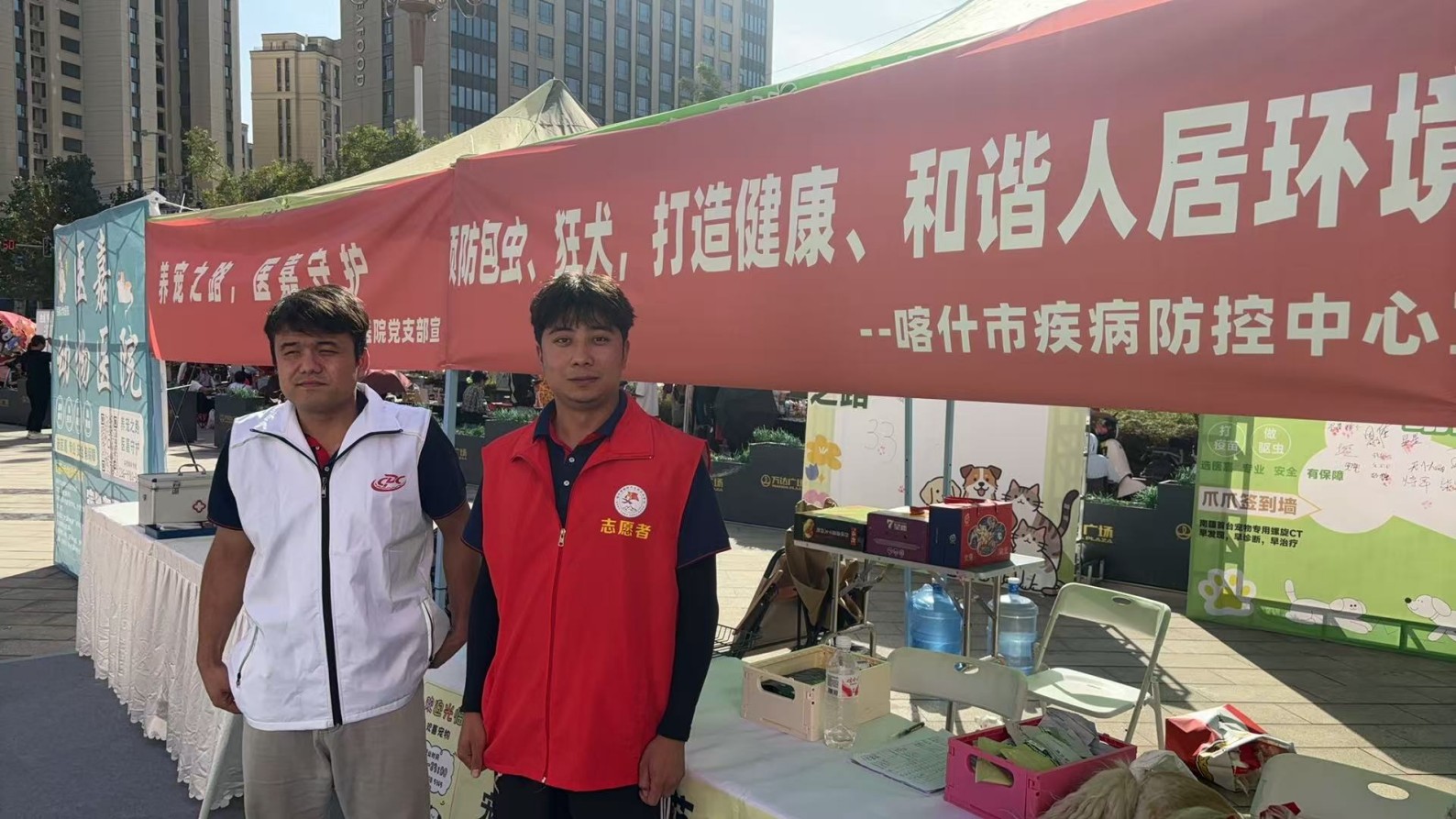 活动展示