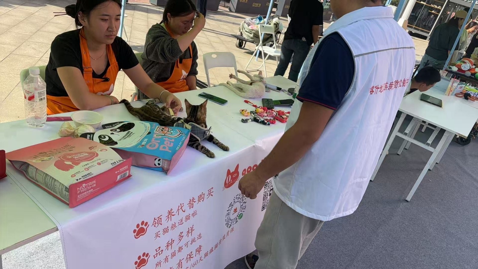 活动展示