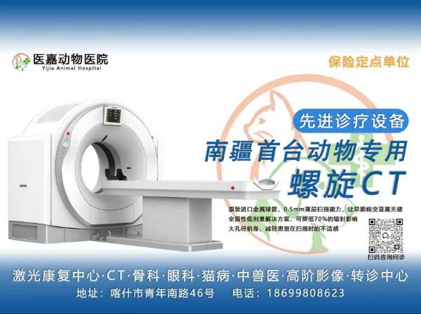 南疆首台动物专用螺旋CT