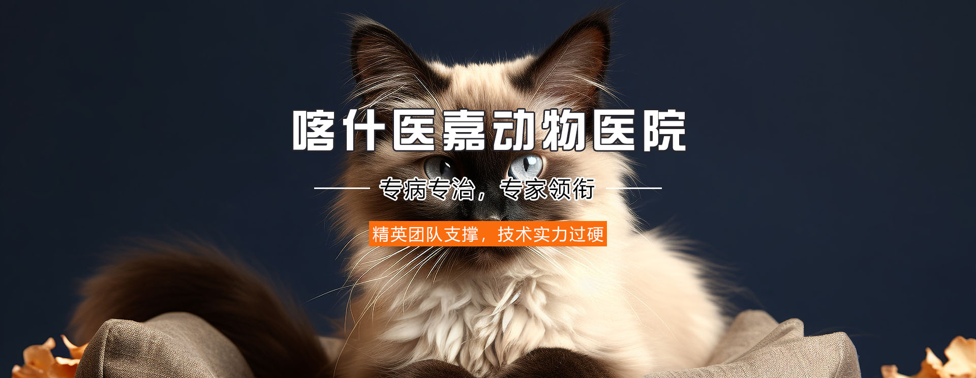 通栏图片