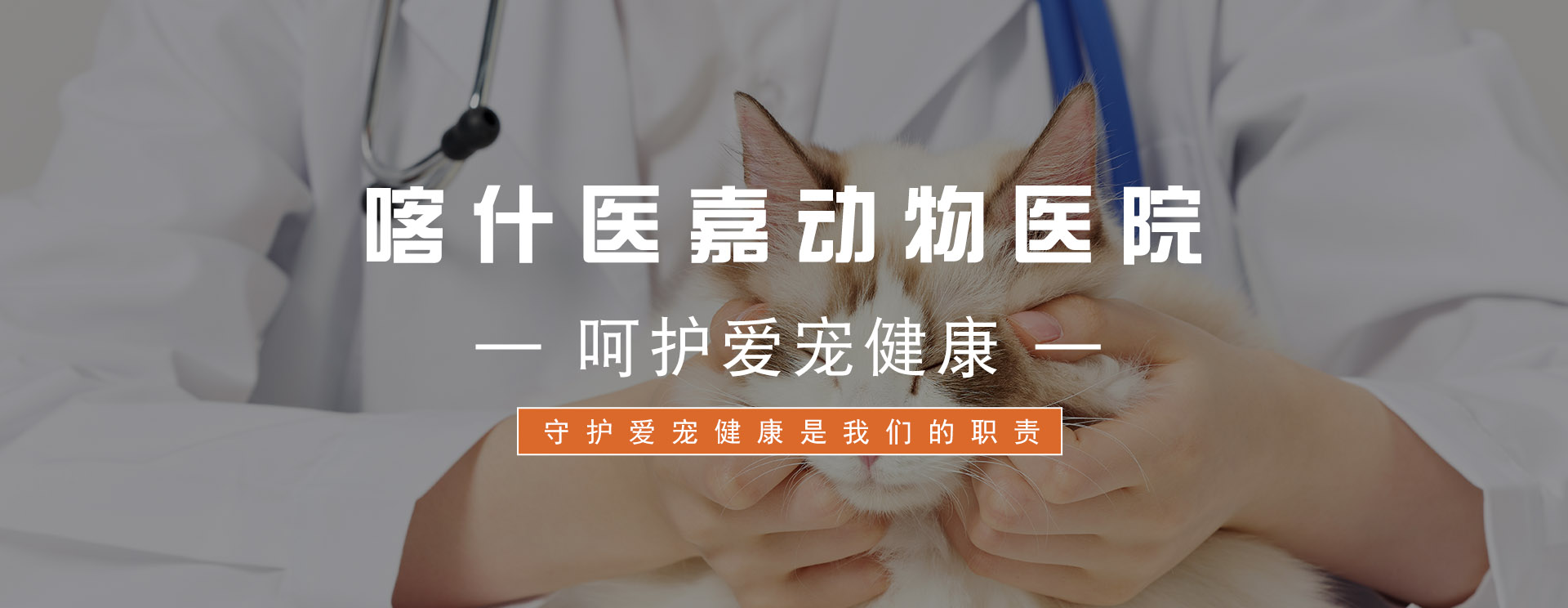 通栏图片