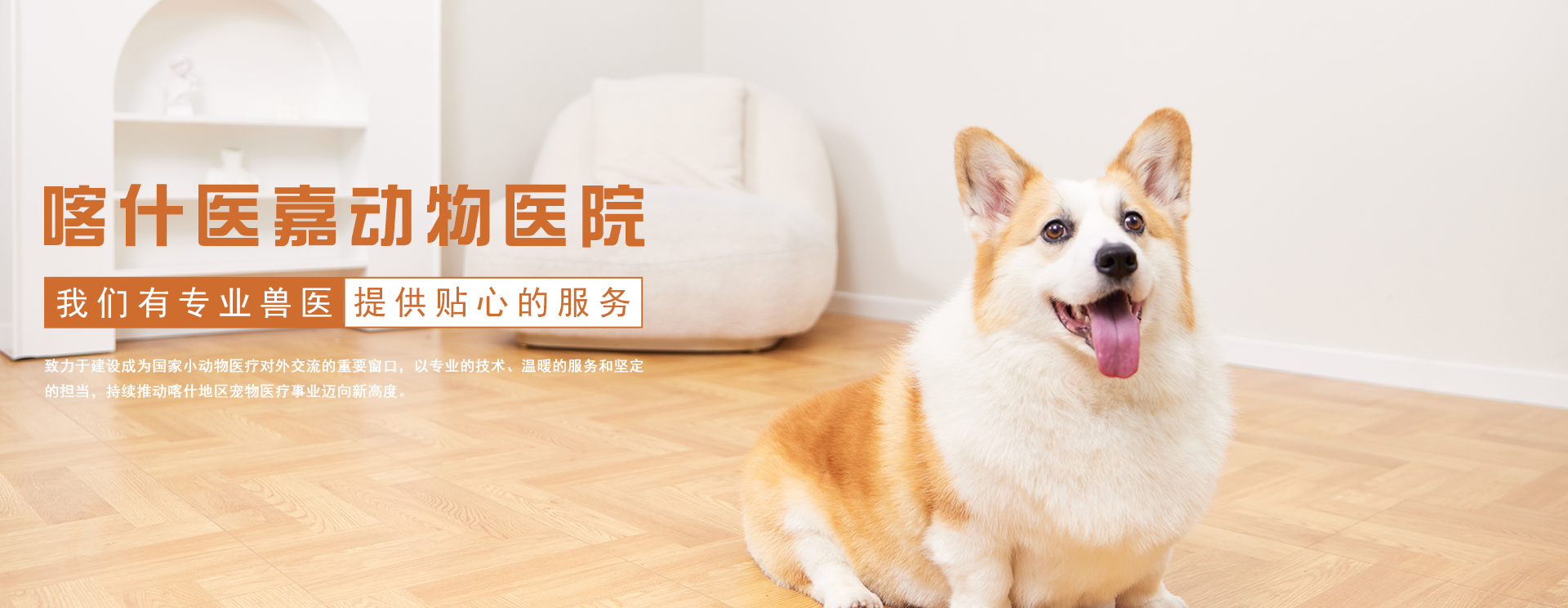 通栏图片